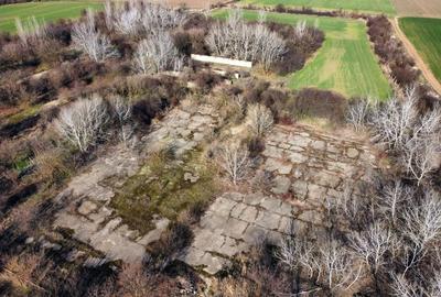 Ferma si livada de meri in judetul Ilfov - 3
