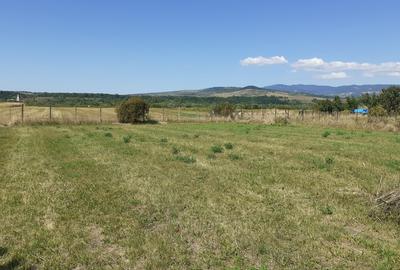 Casă cu 4 camere în Rușii-Munți - 5