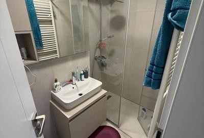 Apartament cu 4 camere decomandat, mobilat în Gheorghe Doja - 14