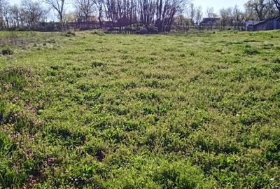 Teren agricol intravilan de 1810 mp, în Hezeriș - 3