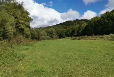 Teren de 3000 mp, în Boiu Mare - 5