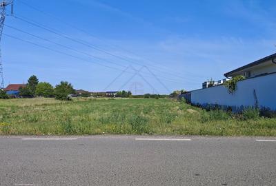 Teren agricol intravilan de 5000 mp, în Moșnița Nouă - 3