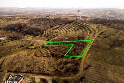 Teren de 3464 mp, în Oncea - 5