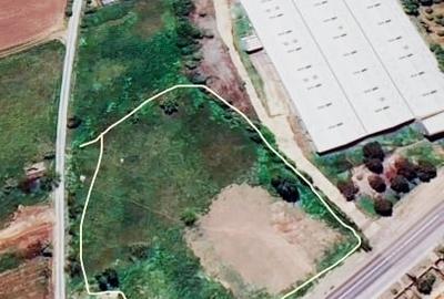 Teren Construcții intravilan de 6000 mp, în Fetești-Gară - 1