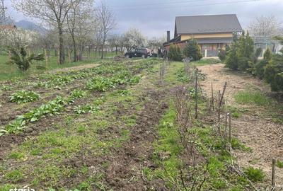 Spațiu comercial, în Central - 2