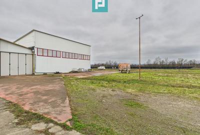 Hală de producție, cu birouri și teren, în Sebiș - 58