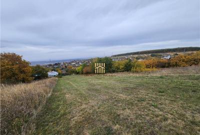 Teren Intravilan 2460 mp - Burdujeni Sat! - 5