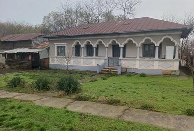 Casa Crevedia Mare Giurgiu - 1