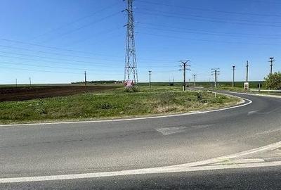 Teren de 10000 mp, în Vest - 4