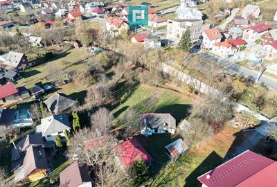 Casa de lemn, cu teren in Bor?a - 14