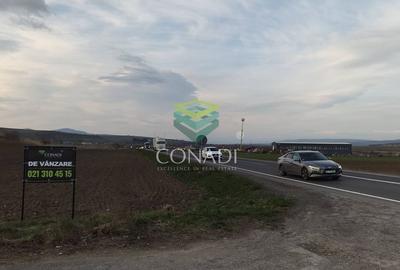 Teren Construcții intravilan de 33500 mp, în Măieruș - 11