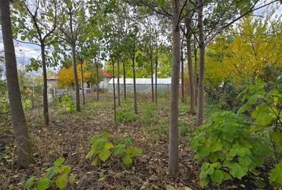 Teren  715  mp  intravilan Petresti - 10