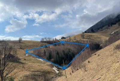 VÂNZARE TEREN CU POTENȚIAL DE DEZVOLTARE ÎN ZONA TURISTICĂ MAGURA-PESTERA - 4
