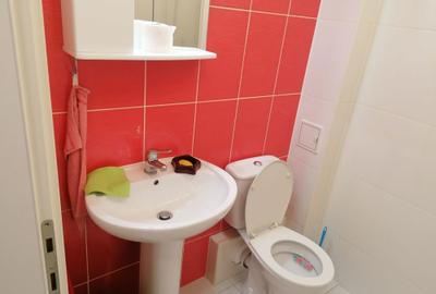 Garsonieră decomandată în Cățelu - 5