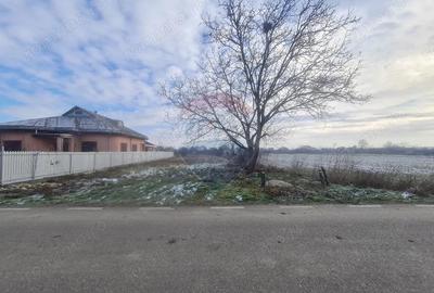 Teren de 1564 mp, în Gologanu - 3