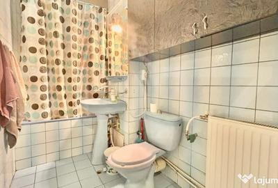 Apartament cu 3 camere decomandat în Nufărul - 3