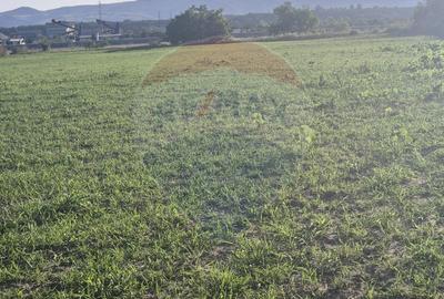 Teren 5,000mp Rusi-Ciutea / Strada Margaretelor - 2