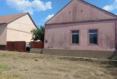 Vand casa in Dudesti-Noi - 1