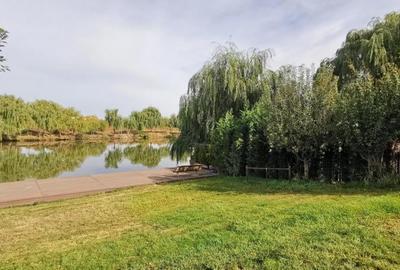 Corbeanca Lac Vila P 1, poton, teren 1500mp - 5