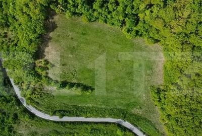 Teren superb, in mijlocul naturii, 18.360 mp, la Carji?i - 3