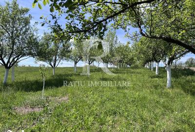 Casă cu 1 camere cu Teren 3000 Mp în Copăcel - 16