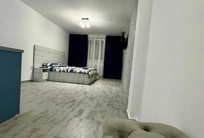 Garsonieră semidecomandată în Calea București - 7