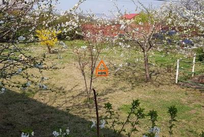 Casa / Vila - 310 mp , 1000 mp teren - Bucium Casa / Vila - 310 mp , 1000 mp teren - Bucium - 10