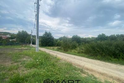 Teren de 8000 mp, în Daia - 6