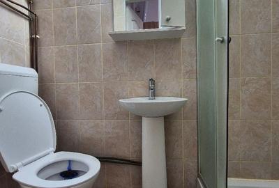 Garsonieră în Podgoria - 1