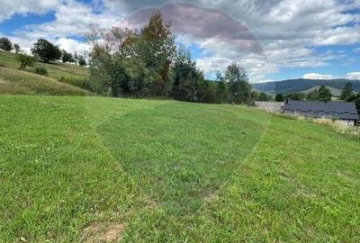 Teren Construcții intravilan de 4397 mp, în Mănăstirea Humorului - 18