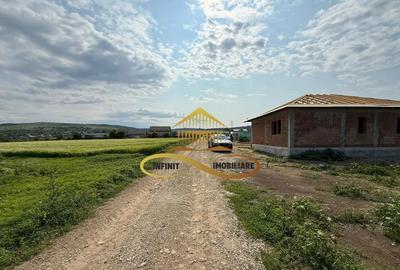 Teren de 500 mp, în Crihan - 9