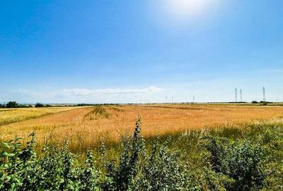 Teren Extravilan Costesti Arges - 1