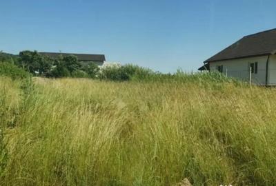 Teren în Cicârlău - 2