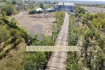 Pensiune 6 camere, teren 12713 mp, Dealul Mare, Urlati, Prah - 3