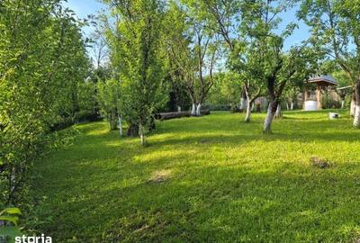Casă cu 3 camere cu Teren 2250 Mp în Cerașu - 10