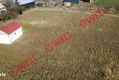 Spațiu comercial, în Boroșneu Mare - 1