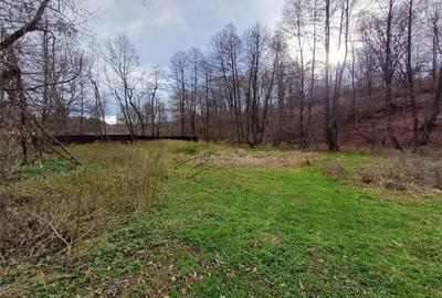 Teren de 1308 mp, în Govândari - 20