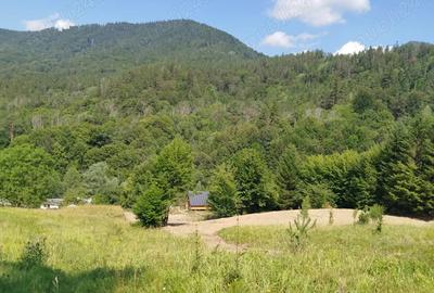 Casă cu 3 camere în Vadu Oii - 5