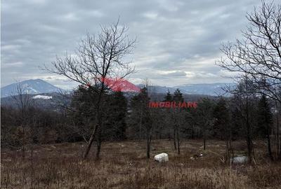 Teren de 15470 mp, în Prundu Bârgăului - 5