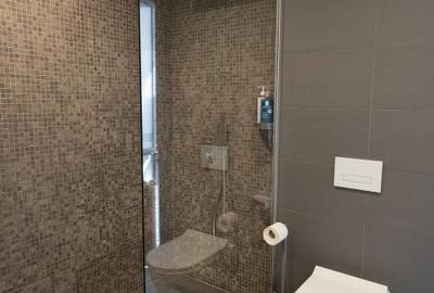 Apartament 3 camere Sos. Nordului Parc Herastrau 2 locuri de parcare jacuzzi ext - 11