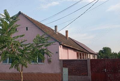 Vand casa Liebling