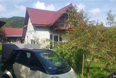 Casă cu Teren 2400 Mp în Cavnic - 1