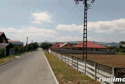 Teren de 4300 mp, în Sud