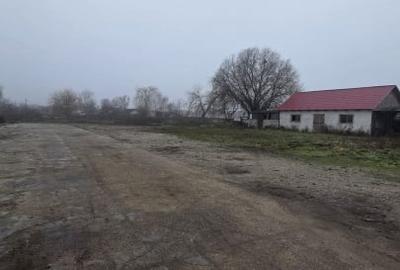 Teren Construcții intravilan de 8400 mp, în Odoreu - 2