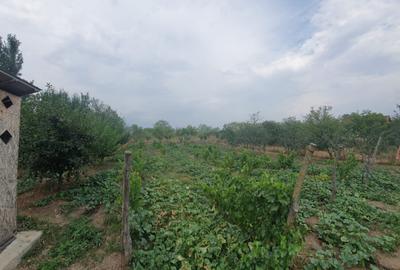 Teren Construcții intravilan de 1100 mp, în Podu Ilfovățului - 8