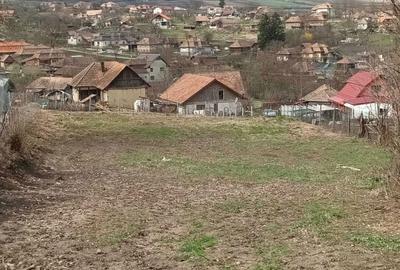 Spațiu comercial, în Călărași - 3