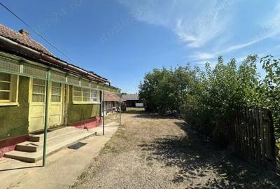 Casa cu teren de 6060 mp | LOC. BICACI | BIHOR - 5