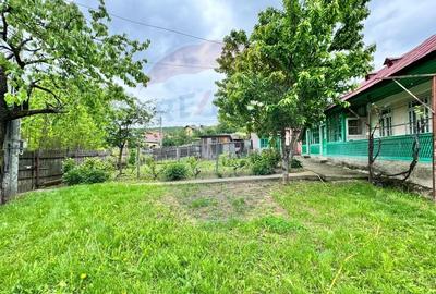 Casa traditionala cu potential de vanzare-HEMEIUS - 3