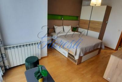Apartament cu 2 camere decomandat, mobilat în Andrei Mureșanu - 7