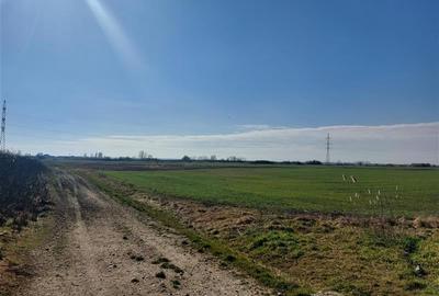 Teren arabil, zona Turnu Teren arabil, zona Turnu - 3